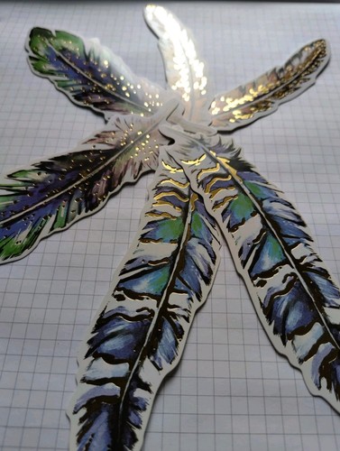 Papierzuschnitte - 6x,